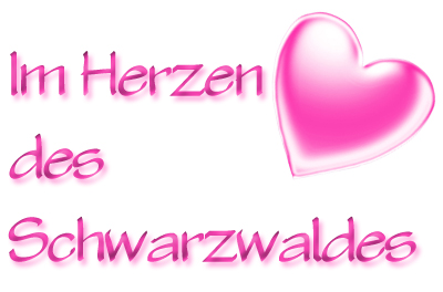 Hotels Widen Schwarzwald